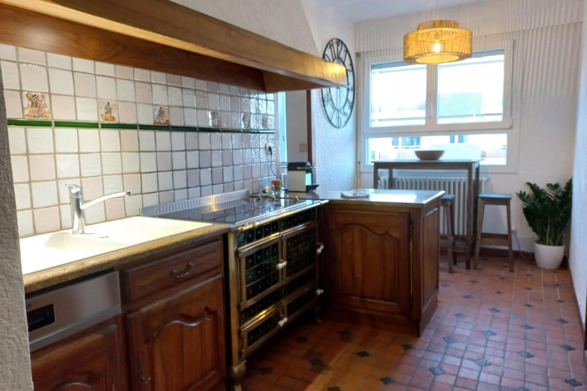 Tournette-Comfortable And Quiet Luxury Apartment 阿讷西 外观 照片