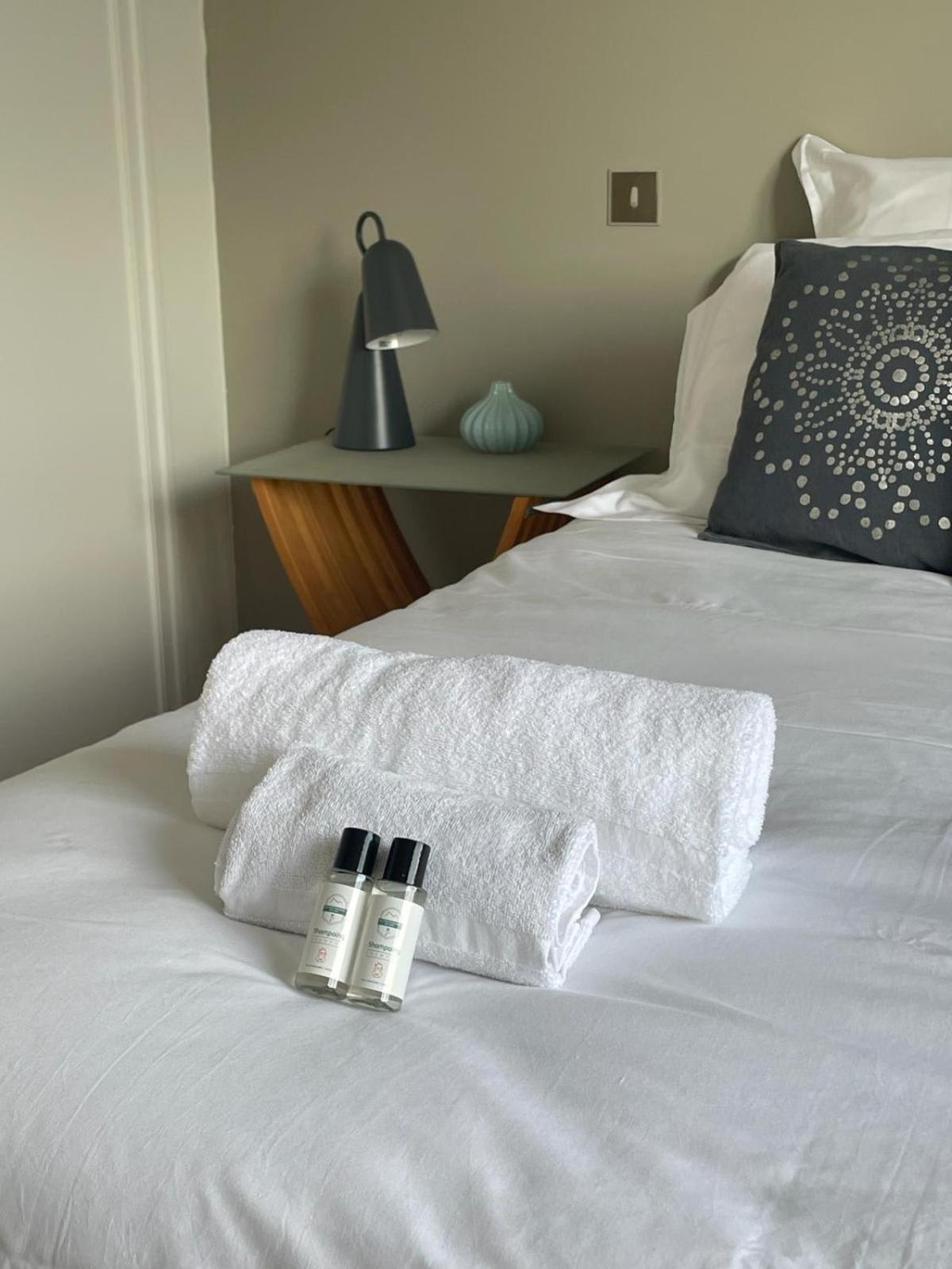 Tournette-Comfortable And Quiet Luxury Apartment 阿讷西 外观 照片